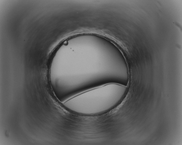 X0000092021502200709061319