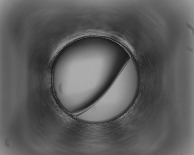 X0000092021504200709061319