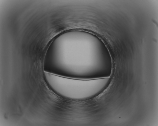 X0000092021505200709061319