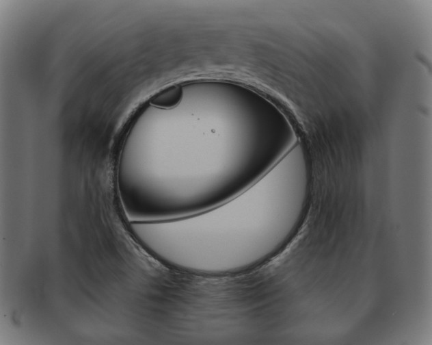 X0000092021506200709061319