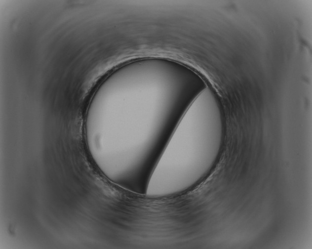 X0000092021507200709061319