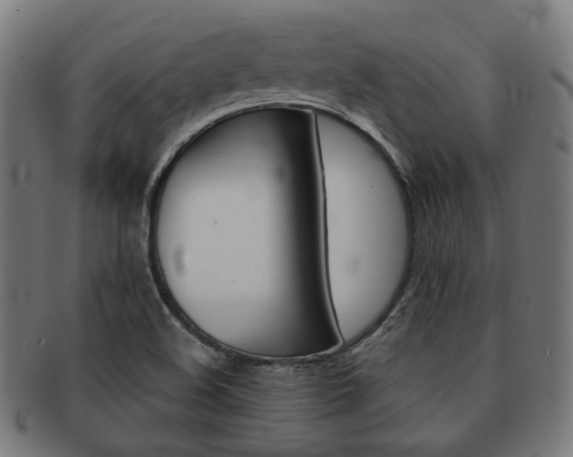 X0000092021508200709061319