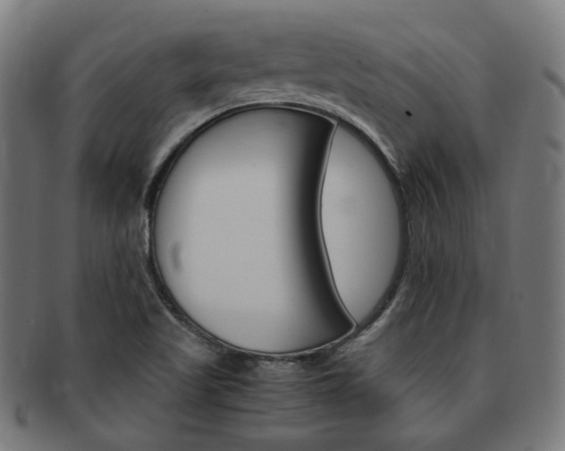 X0000092021509200709061319