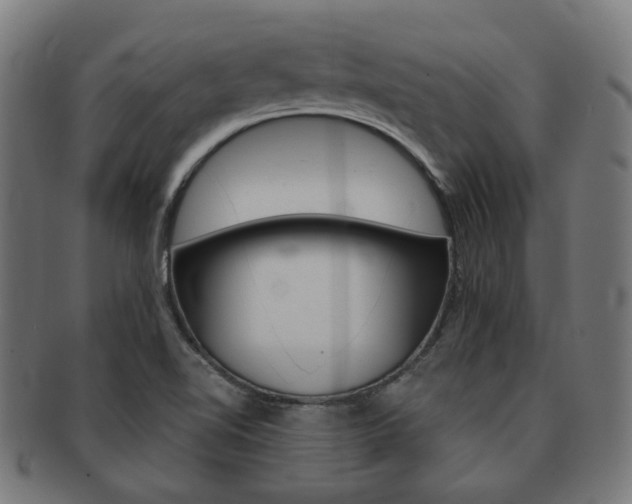 X0000092021510200709061319