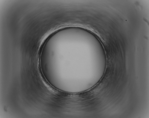 X0000092021511200709061319