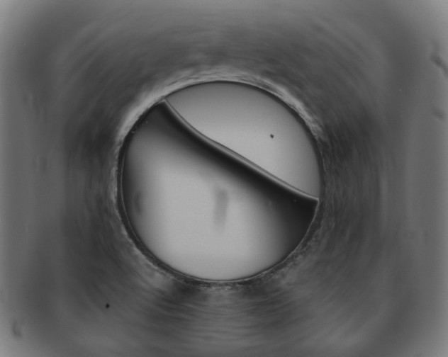 X0000092021512200709061319