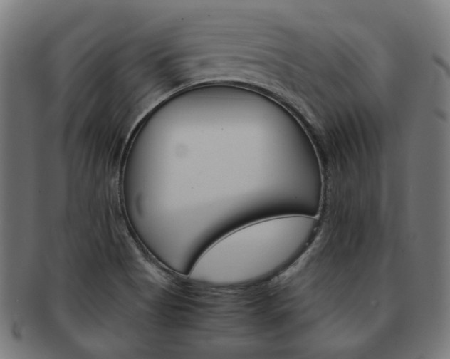 X0000092021513200709061319