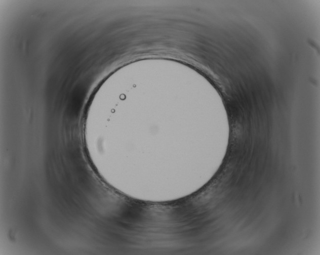 X0000092021514200709061319