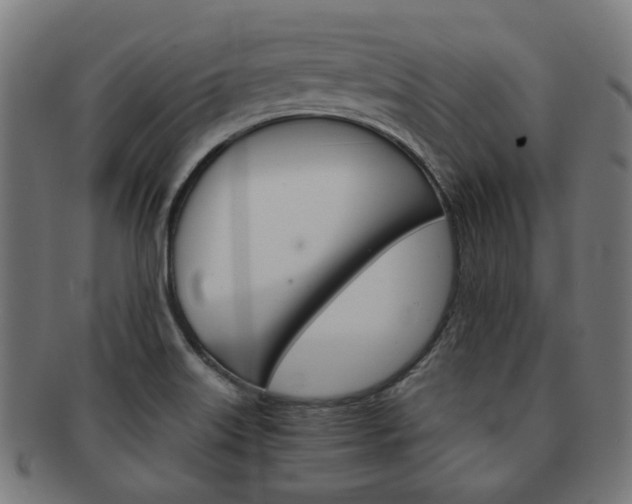 X0000092021515200709061319