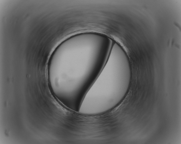 X0000092021516200709061319