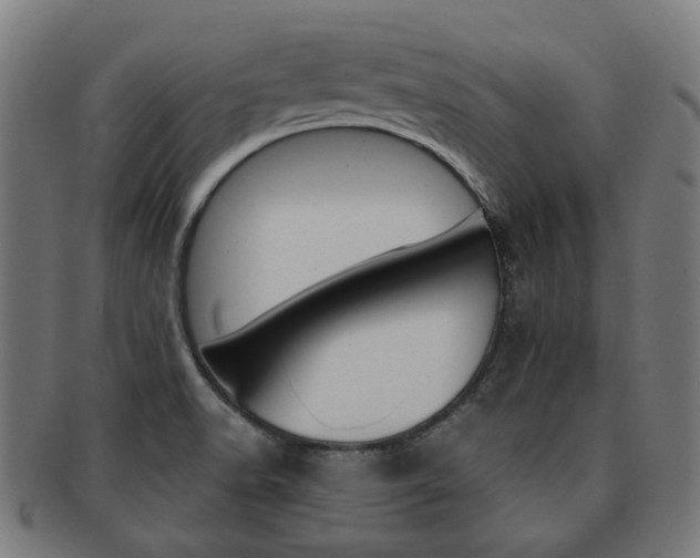 X0000092021518200709061319