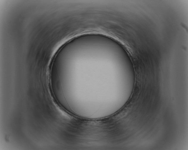 X0000092021519200709061319