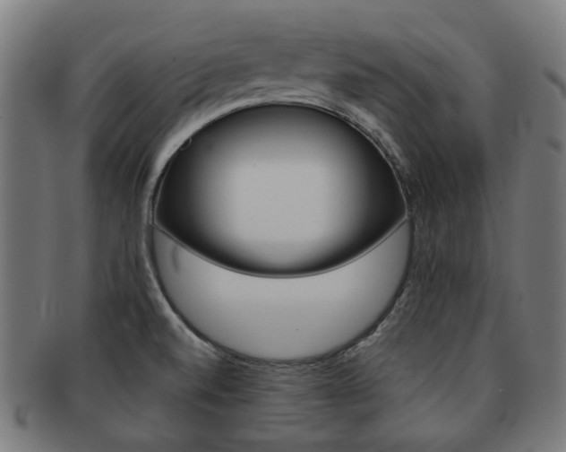 X0000092021520200709061319