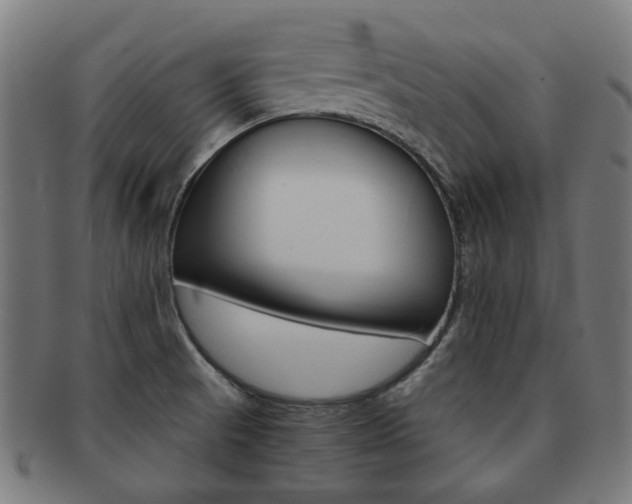 X0000092021521200709061319