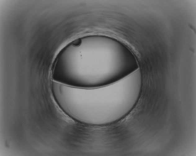 X0000092021522200709061319