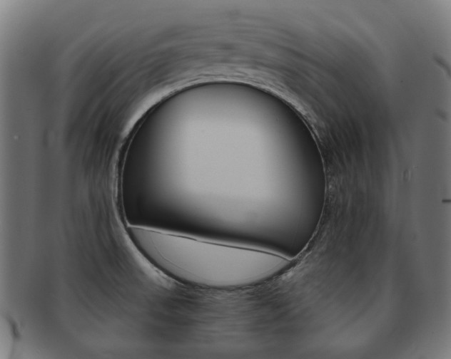 X0000092021523200709061319