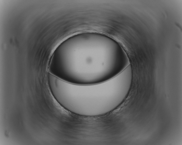 X0000092021524200709061319