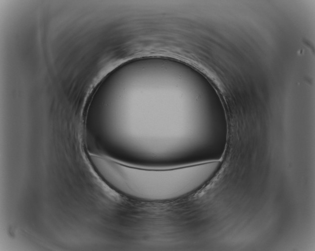 X0000092021525200709061319