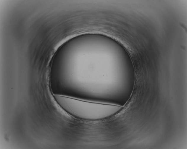 X0000092021526200709061319