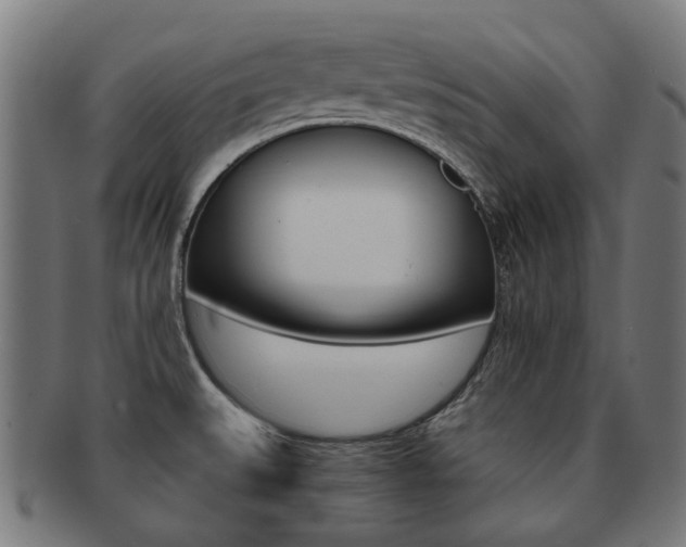 X0000092021527200709061319