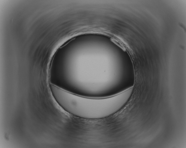 X0000092021528200709061319