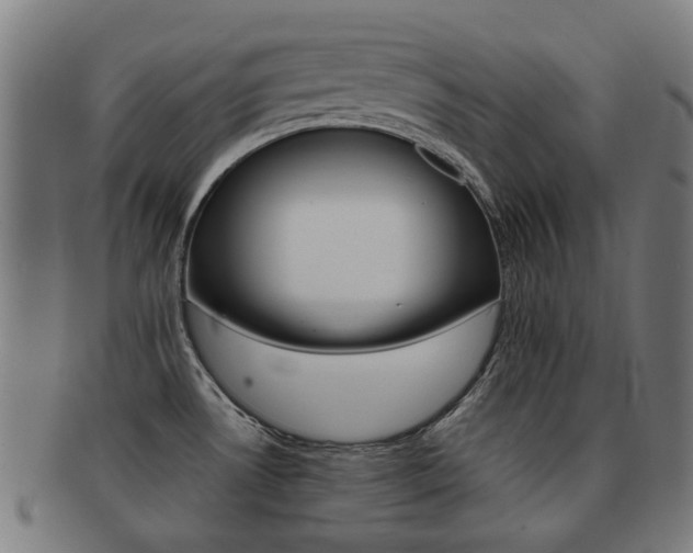 X0000092021530200709061319