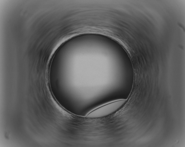 X0000092021531200709061319