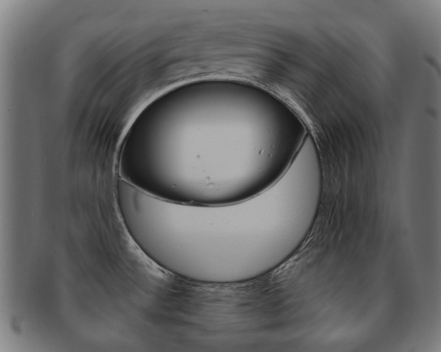X0000092021532200709061319