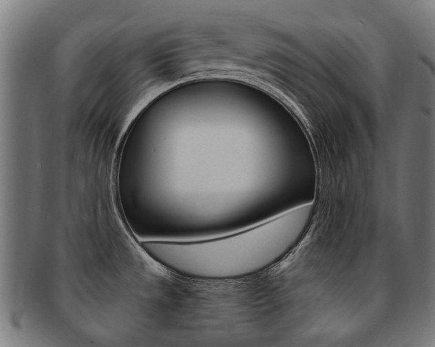 X0000092021533200709061319