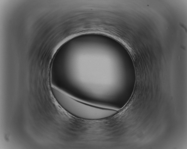 X0000092021534200709061319