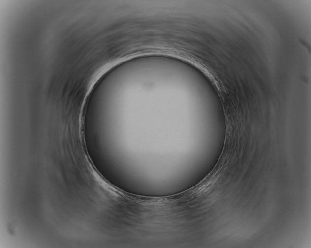 X0000092021535200709061319