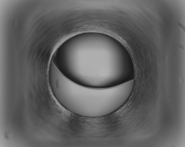 X0000092021536200709061319