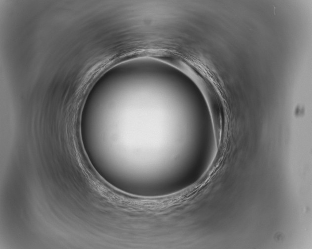 X0000092020001200709061603