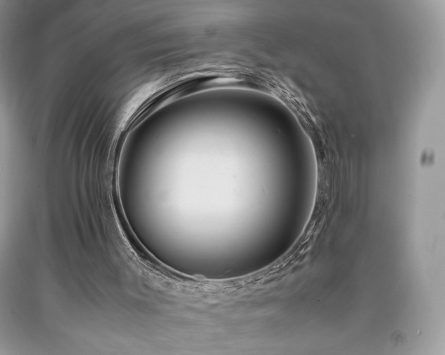 X0000092020003200709061603