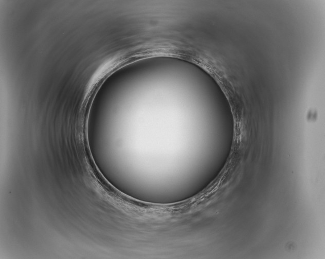 X0000092020004200709061603
