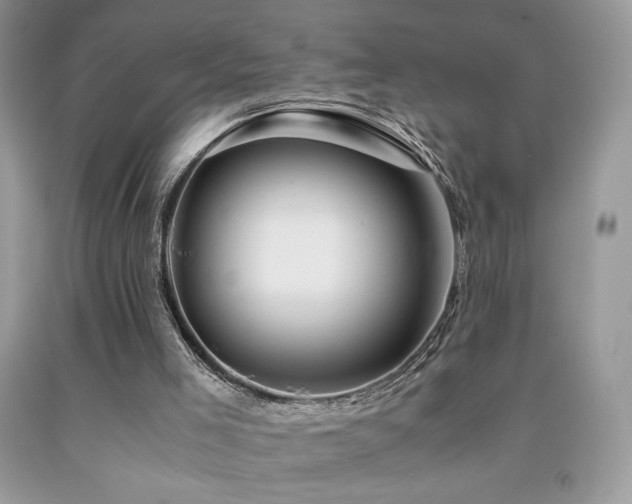 X0000092020005200709061603