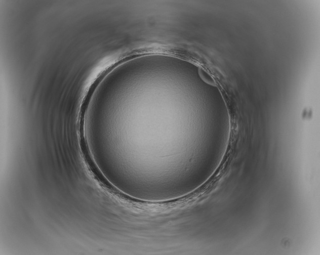 X0000092020006200709061603