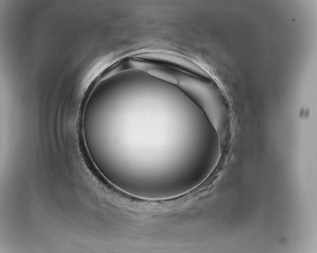 X0000092020007200709061603