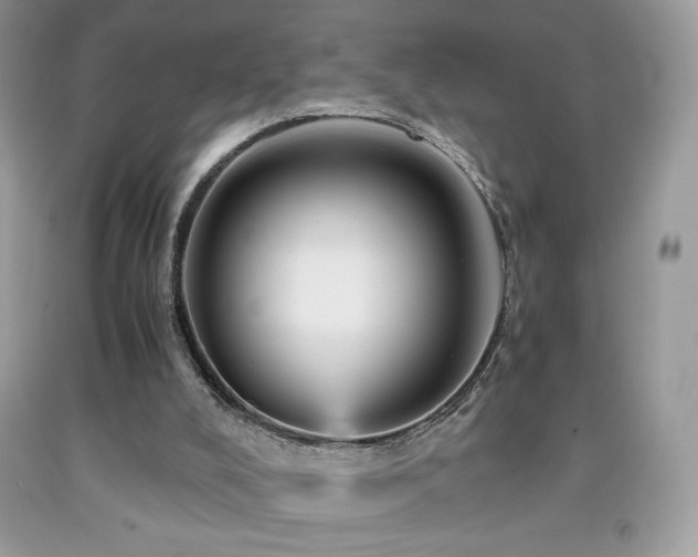 X0000092020008200709061603