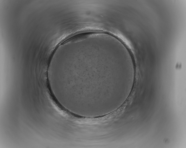 X0000092020009200709061603