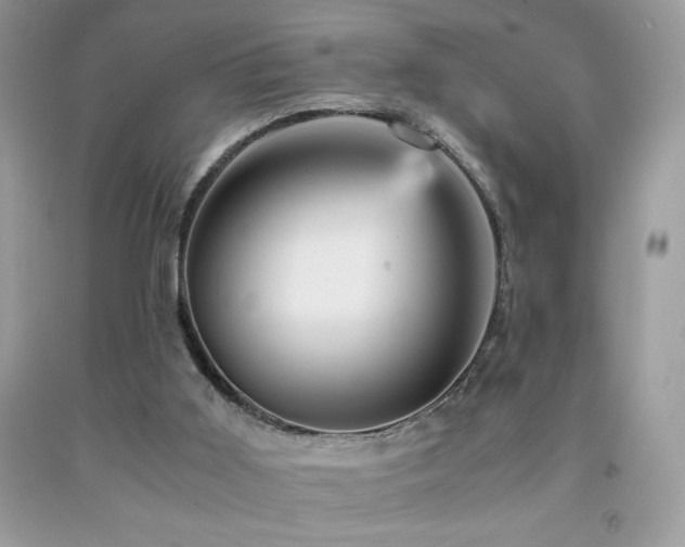 X0000092020011200709061603