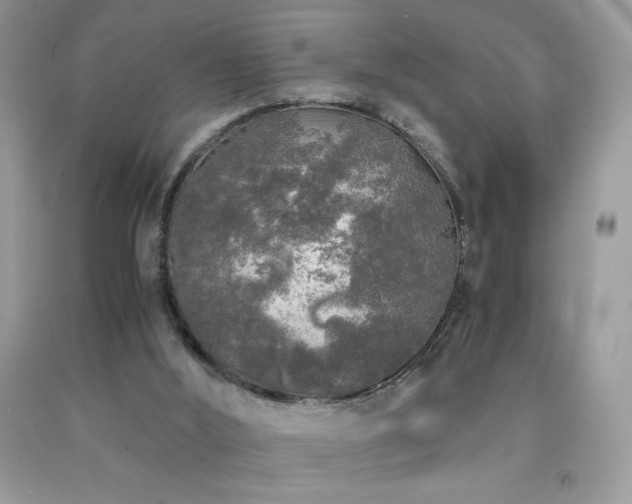 X0000092020012200709061603