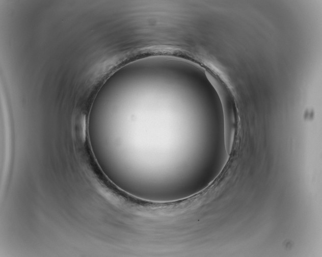 X0000092020013200709061603