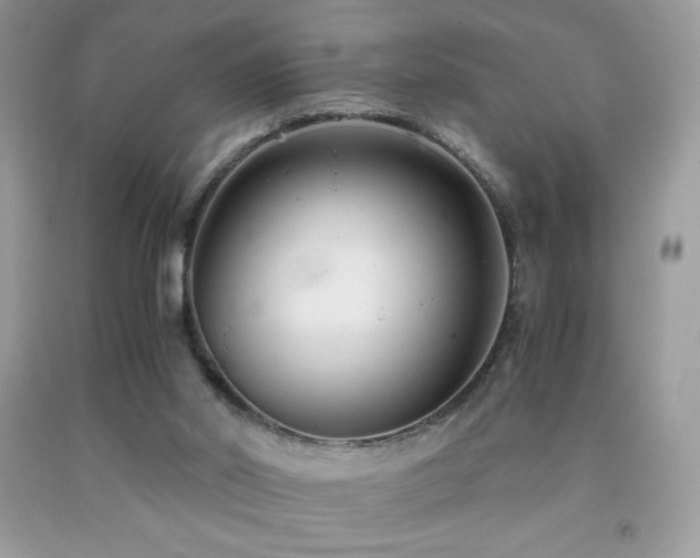 X0000092020014200709061603