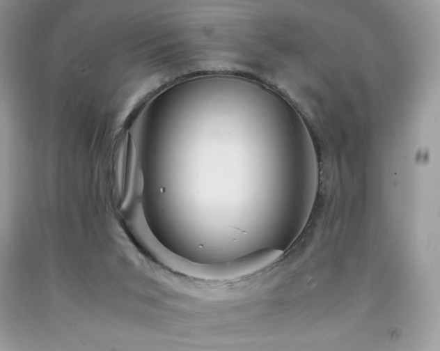 X0000092020015200709061603
