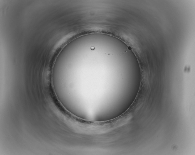 X0000092020016200709061602