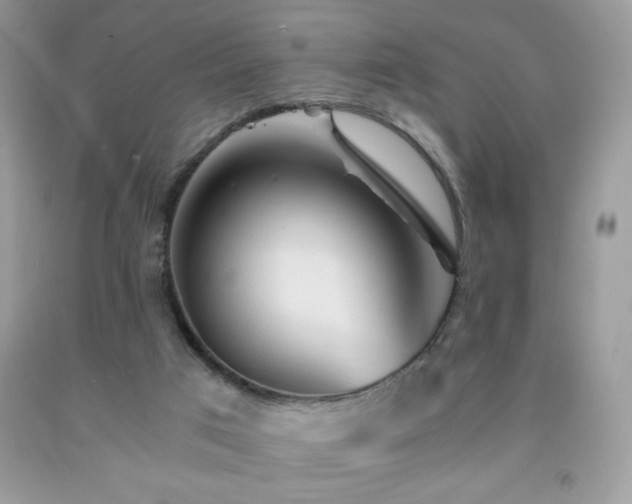 X0000092020017200709061602