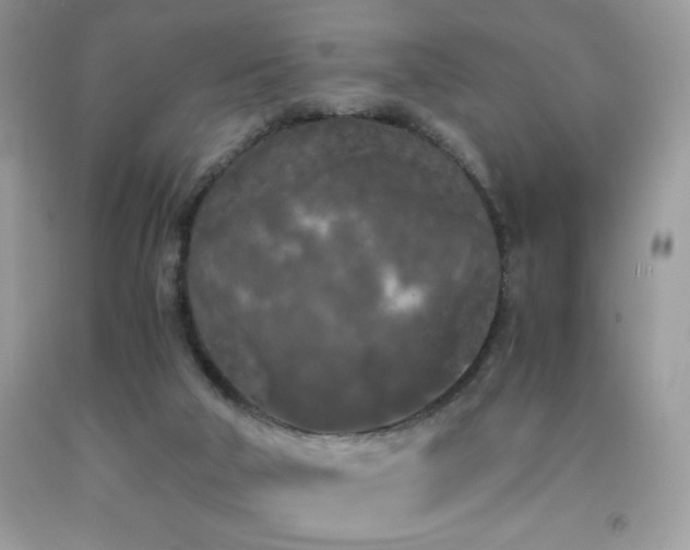 X0000092020018200709061602