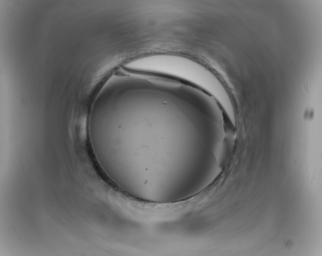 X0000092020019200709061602