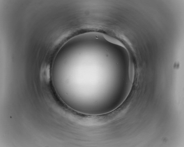 X0000092020020200709061602